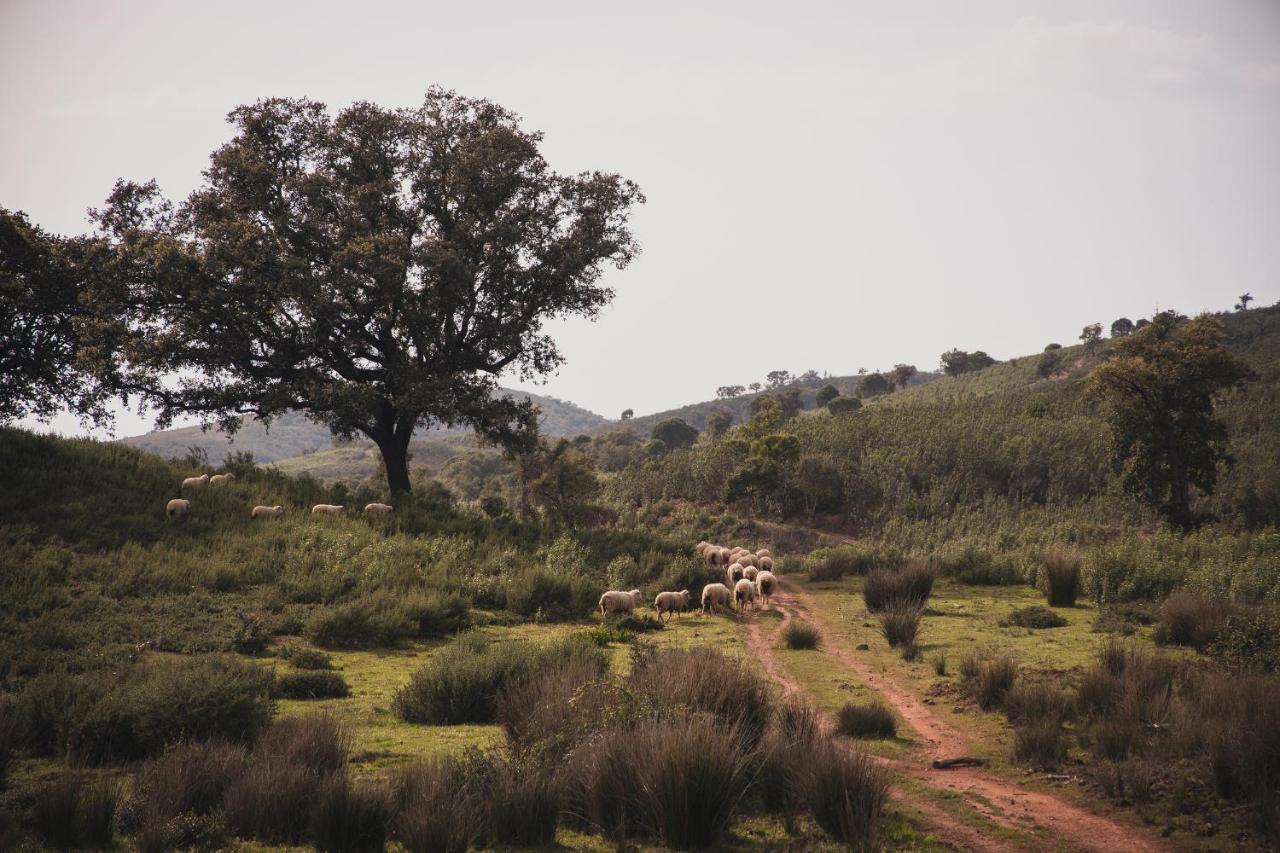 Quinta Do Freixo Villa Benafim Eksteriør bilde