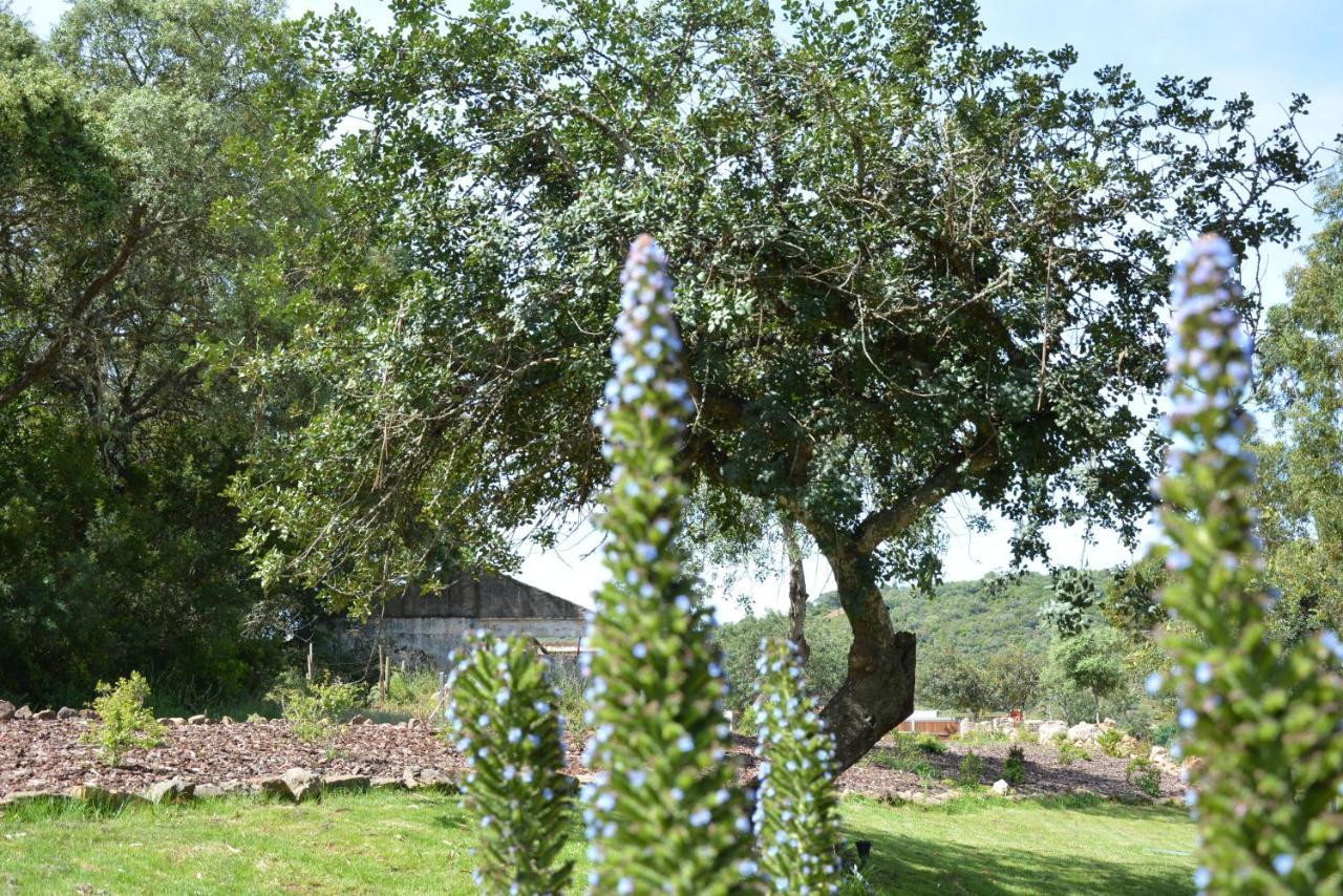 Quinta Do Freixo Villa Benafim Eksteriør bilde