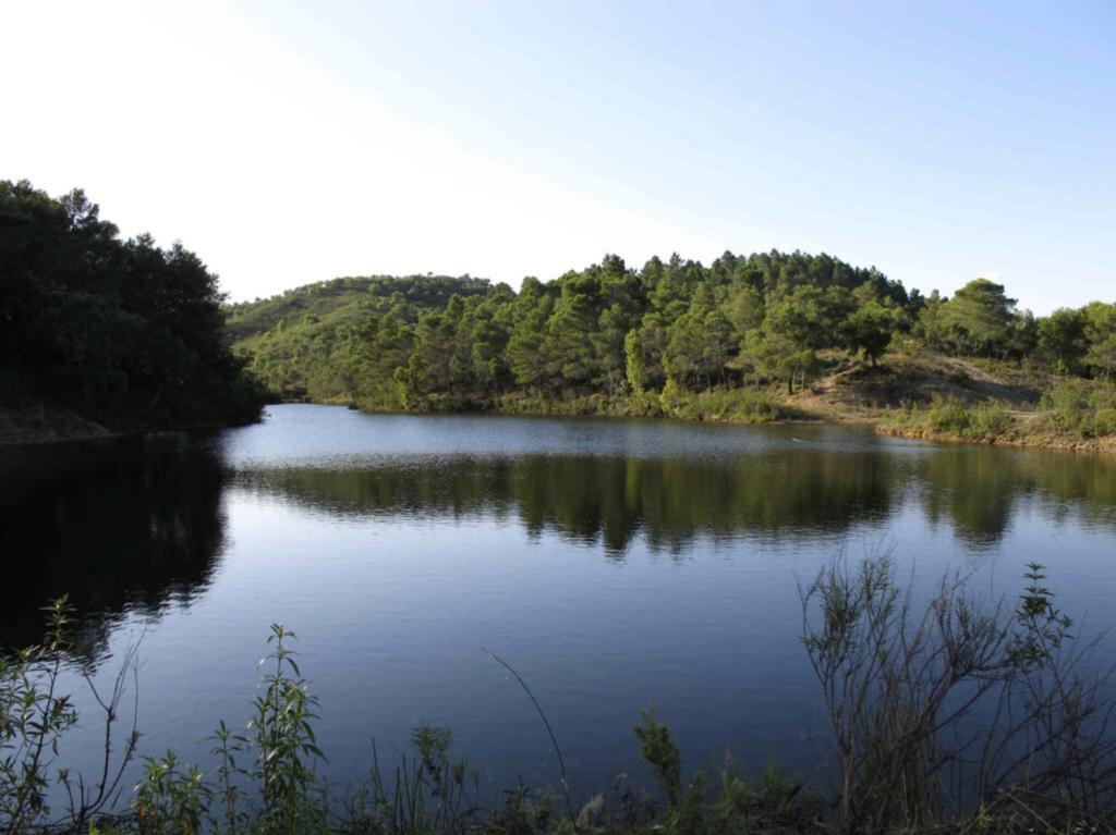 Quinta Do Freixo Villa Benafim Eksteriør bilde